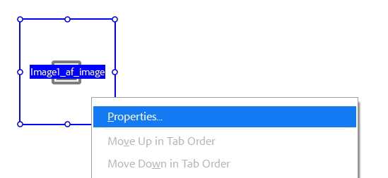 Inserted image field